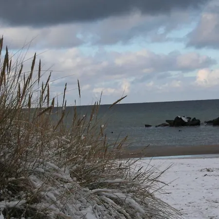 Daire Louise Wustrow (Fischland)